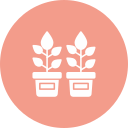 plantas icon