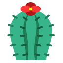 naturaleza icon