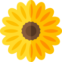 Girasol