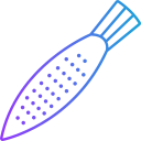 daikon 