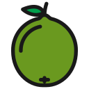 fruta icon