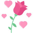 rosa icon