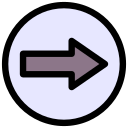 flecha correcta icon