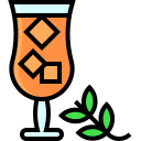 mojito icon