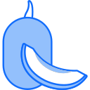 papaya icon