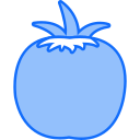 tomate icon