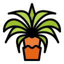 palmera datilera icon