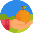 Naranja icon