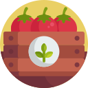 Tomate icon