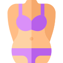 Bikini icon