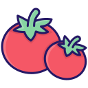 tomate icon