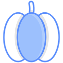 pimiento icon