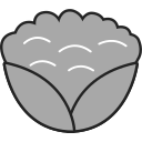 coliflor icon