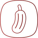 pepino icon