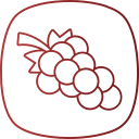 uvas icon