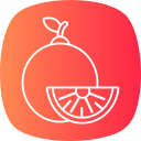 naranja icon