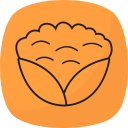 coliflor icon