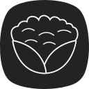 coliflor icon