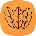 lechuga icon