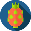 Pitaya icon