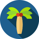 Palmera icon