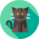 Gato icon