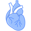 corazón icon