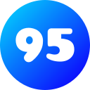 95 icon