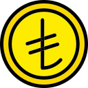 moneda icon