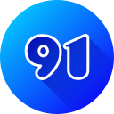 91 icon