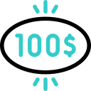 100 dólares 