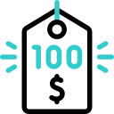 100 dólares 