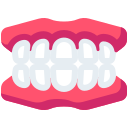 dentadura icon