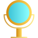 miroir icon