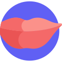 Labios icon