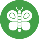 mariposa icon