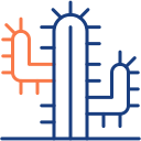 cactus icon