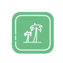 Árbol de coco icon