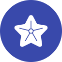 estrella de mar icon