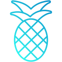 piña icon