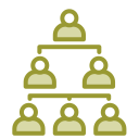 estructura de organización 