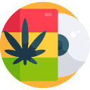 CD icon