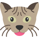 Minskin cat icon