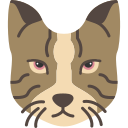 Cat icon