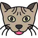 Minskin cat icon