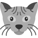 민스킨 고양이 icon