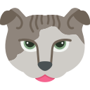 Cat icon
