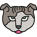 Cat icon