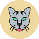 gato enano icon