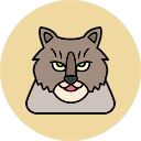 gato del bosque noruego icon